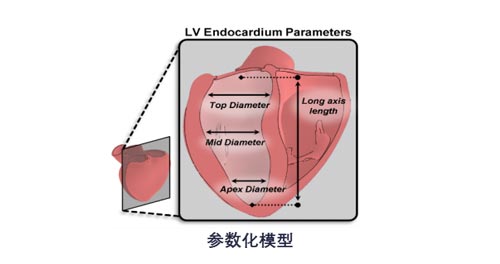 参数化模型